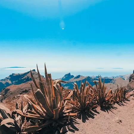Apartamento Palm Oasis Tenerife Costa del Silencio