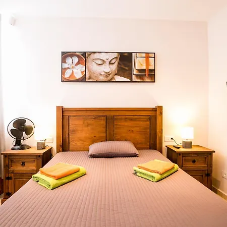 Lägenhet Palm Oasis Tenerife *