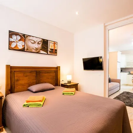 Palm Oasis Tenerife Apartment Costa Del Silencio