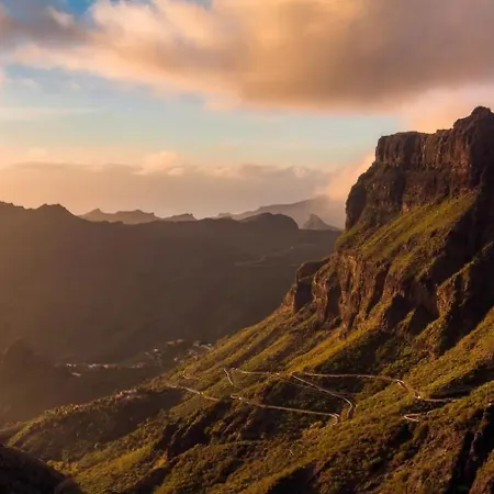 Lägenhet Palm Oasis Tenerife Costa Del Silencio