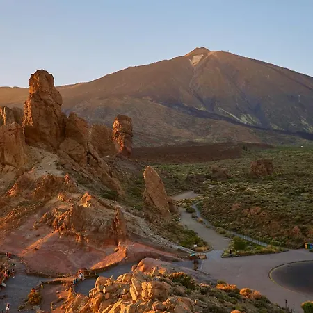 Palm Oasis Tenerife Lägenhet Costa Del Silencio