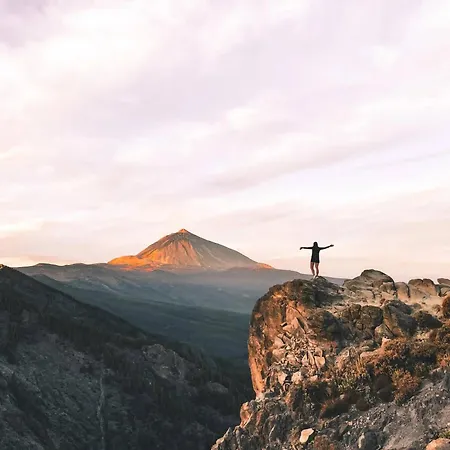 Lägenhet Palm Oasis Tenerife *